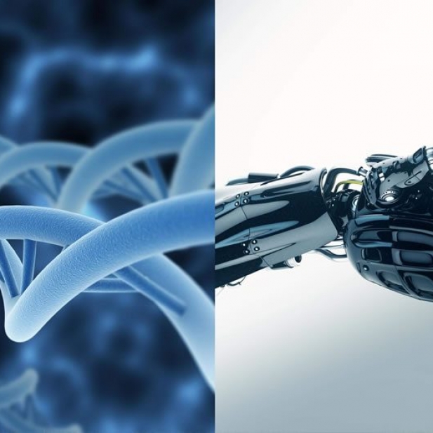 ingeniería-biónica